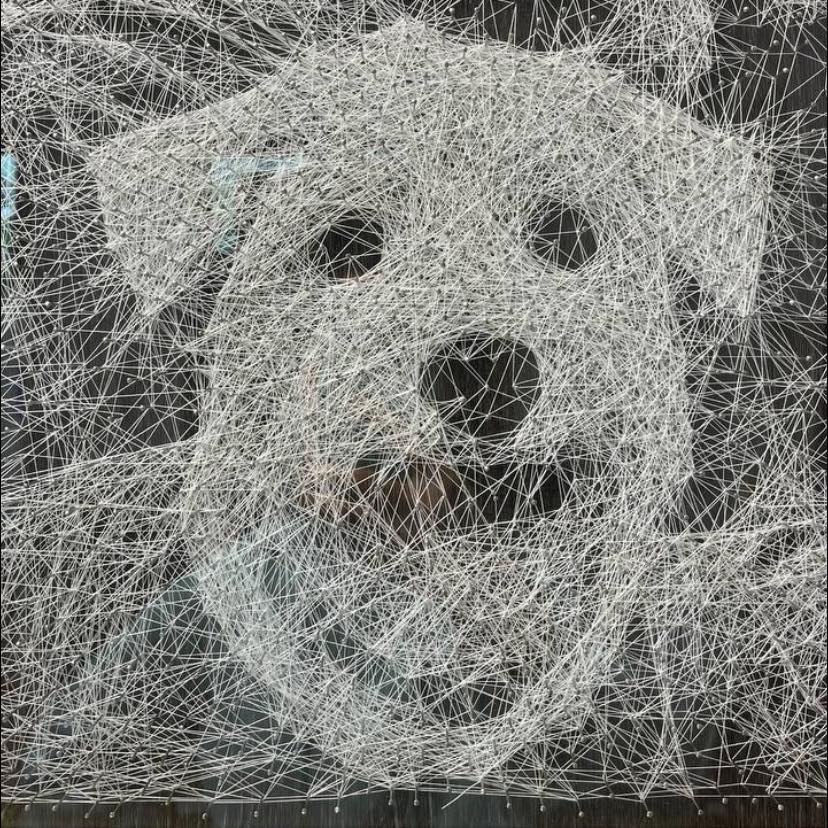 The Perfect Gift: Hand-Woven Portrait for Pet Lovers